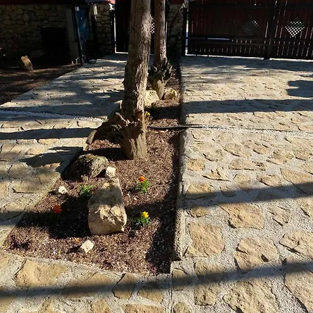Apartament Pafranyhaz *